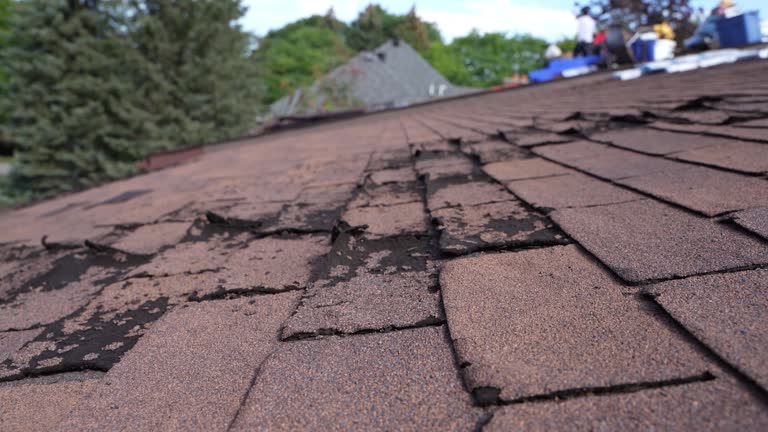 Steel Roofing in Belleville, IL