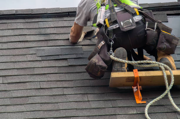 Best Gutter Installation and Repair  in Bellevle, IL