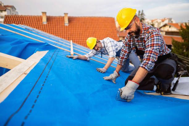 Best Gutter Installation and Repair  in Bellevle, IL
