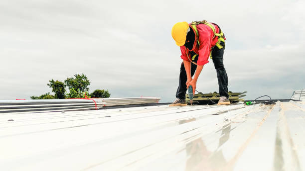 Best Slate Roofing  in Bellevle, IL