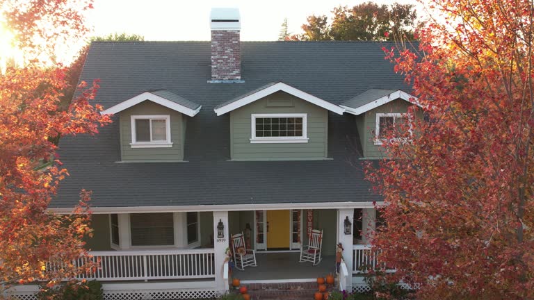 Best Roof Ventilation Installation  in Bellevle, IL