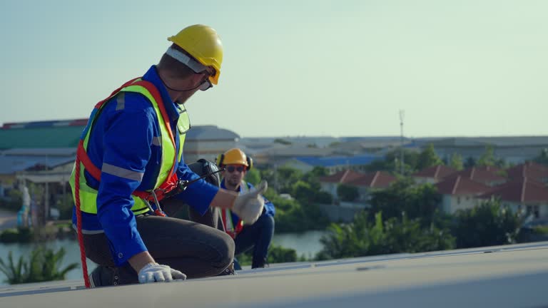 Best Roof Ventilation Installation  in Bellevle, IL