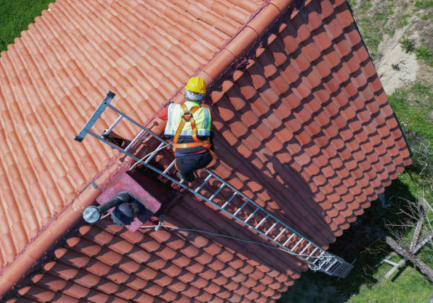 Best Hot Roofs  in Bellevle, IL