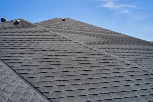 Best Solar Panel Roofing Installation  in Bellevle, IL